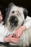 GRIFFES - SKYE TERRIER 070